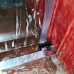 Дверь в нишу Koer SR SD05-120x200-TR-01 прозрачное стекло Easy Clean 6мм, хром (KR5405)