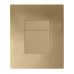 Панель змиву Koer KT-0607-12 157x198x10mm пластикова, квадратна кнопка (колір матове золото) (KR5715)