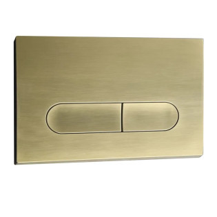 Панель змиву Koer KT-0608-12 240x160x10mm пластикова, закруглена кнопка (колір матове золото) (KR6126)