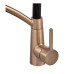 Змішувач для кухні MIXXUS PREMIUM ROSSI 017 BRUSHED GOLD REFL.BLACK (Колір матове золото+силік. вилив чорний) (MP6723)