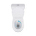 Унітаз-компакт Qtap Robin Ultra Quiet безободковий з сидінням Soft-close QT13226089AW